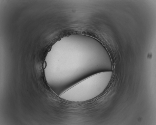 X0000102481347200808081023