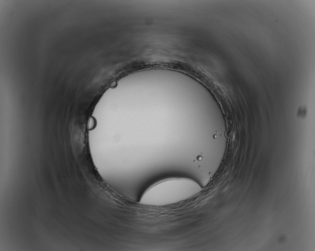 X0000102481348200808081023