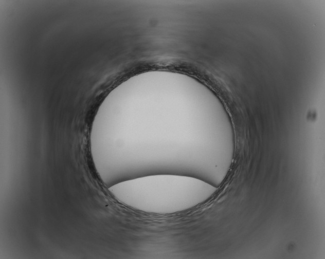 X0000102481349200808081023