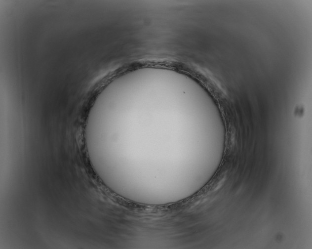 X0000102481350200808081023