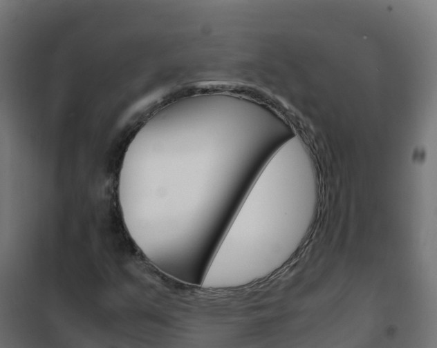 X0000102481351200808081023