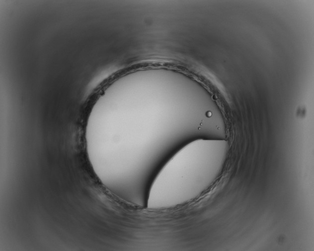 X0000102481352200808081023