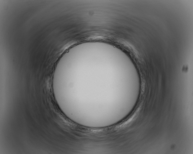 X0000102481353200808081023