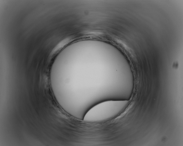 X0000102481354200808081023