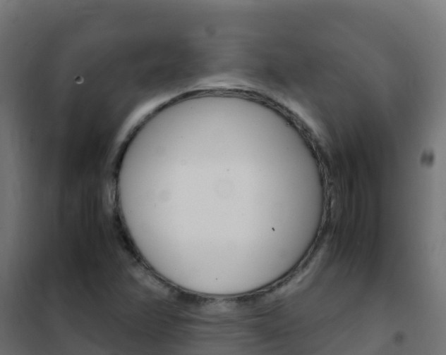 X0000102481358200808081023