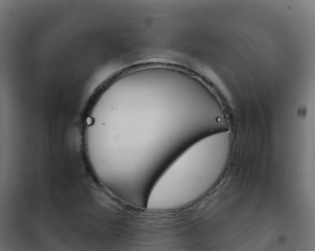 X0000102481360200808081023