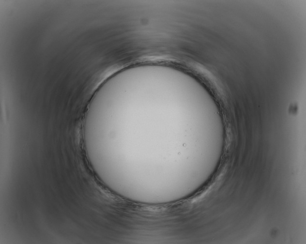 X0000102481361200808081023