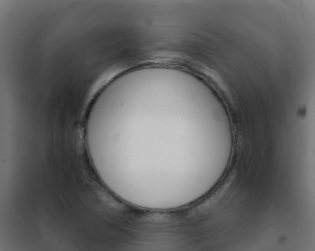 X0000102481362200808081023