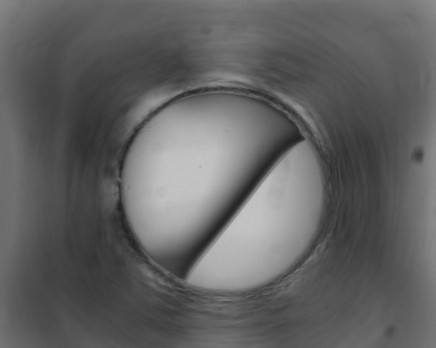 X0000102481363200808081023