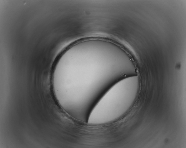 X0000102481364200808081023