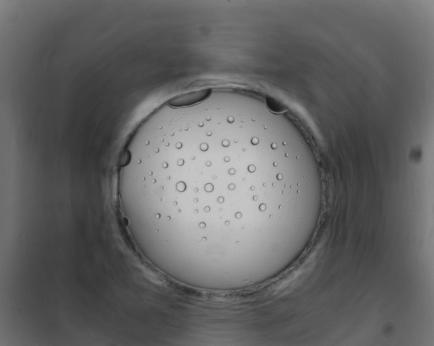 X0000102481365200808081023