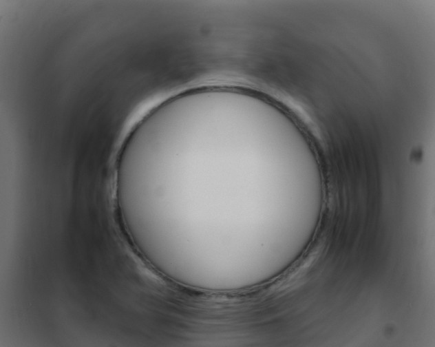 X0000102481366200808081023
