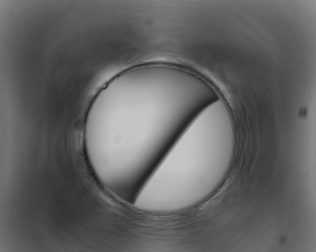 X0000102481367200808081023