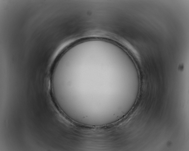 X0000102481368200808081023