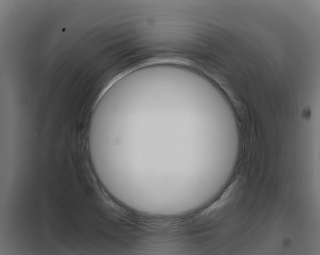 X0000102481369200808081023