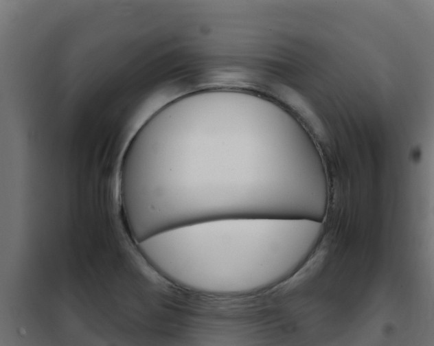 X0000102481370200808081023