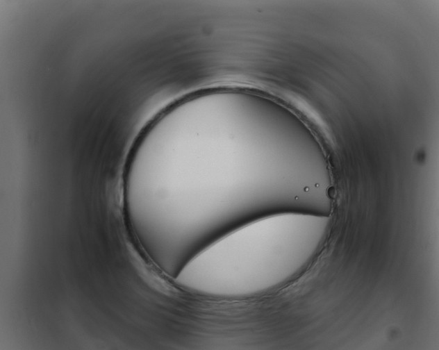 X0000102481372200808081023