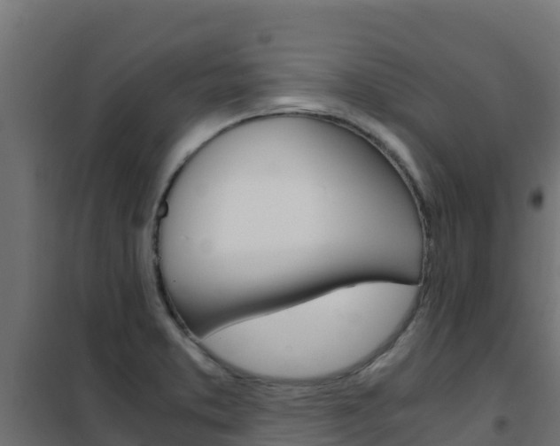 X0000102481373200808081023