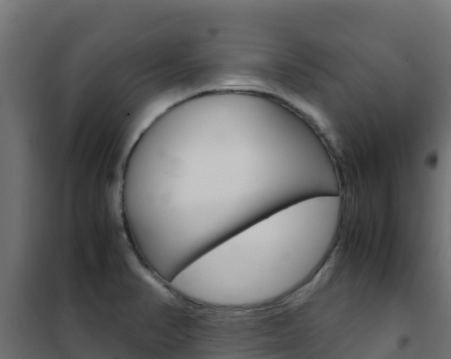 X0000102481374200808081023