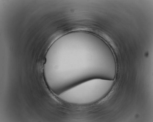 X0000102481377200808081023