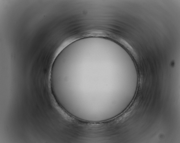 X0000102481378200808081023