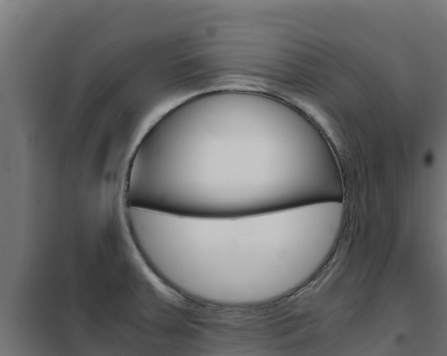 X0000102481379200808081023