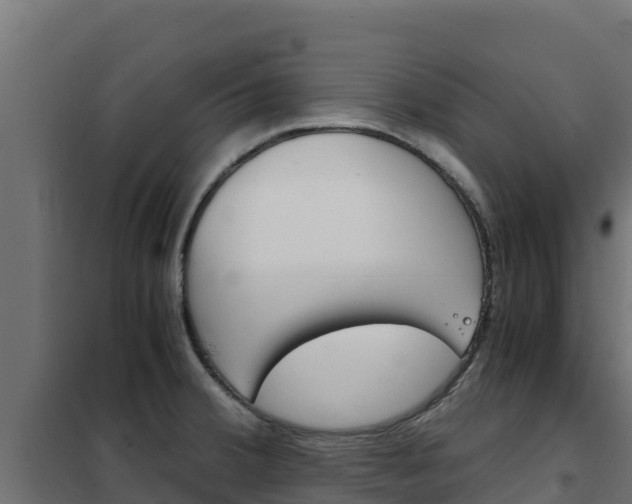 X0000102481380200808081023