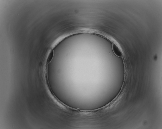 X0000102481381200808081023