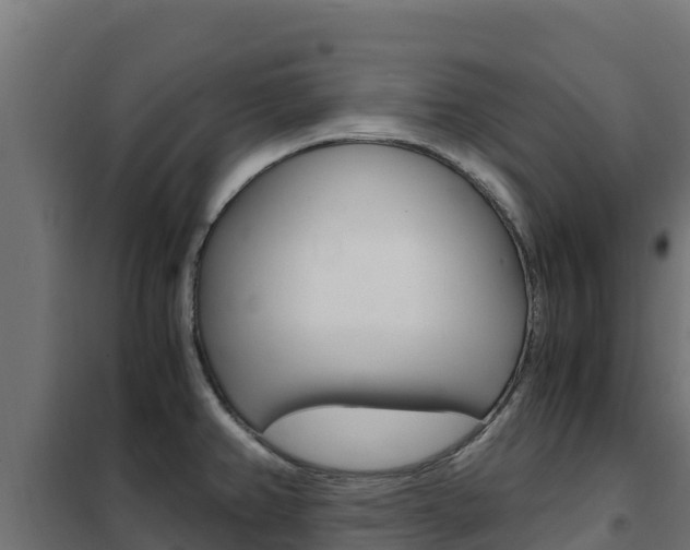 X0000102481382200808081023