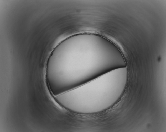X0000102481383200808081023