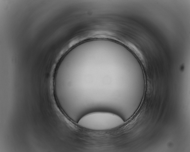 X0000102481384200808081023