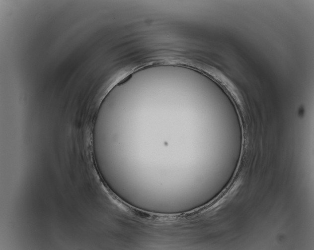 X0000102481385200808081023
