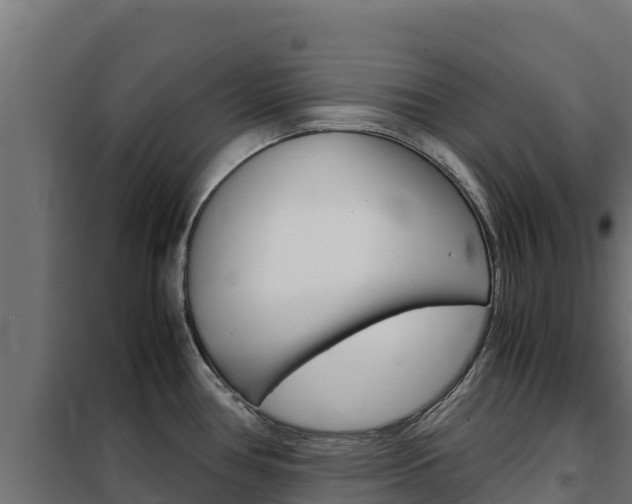 X0000102481386200808081022