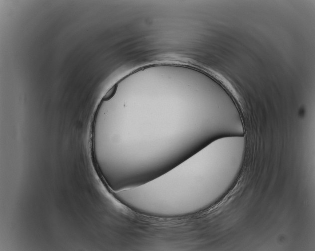 X0000102481387200808081022