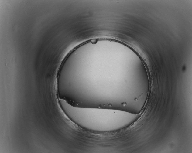 X0000102481388200808081022