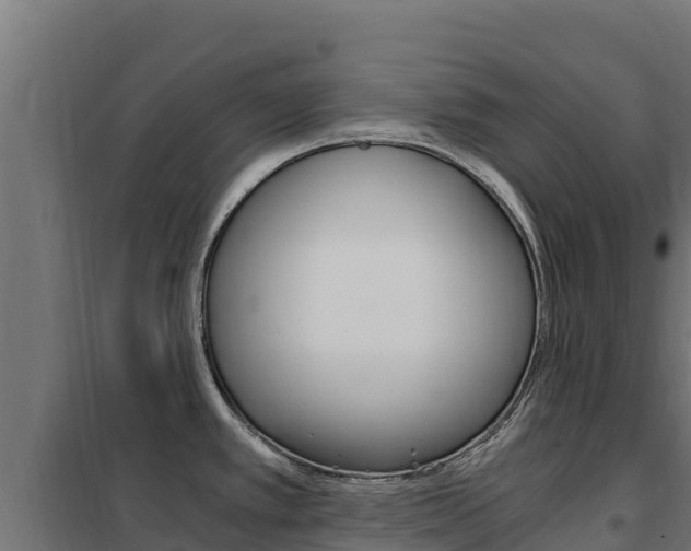 X0000102481389200808081022