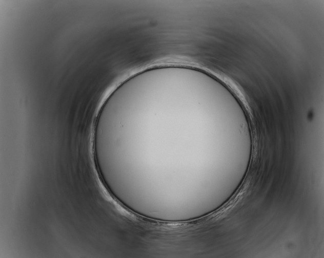 X0000102481390200808081022