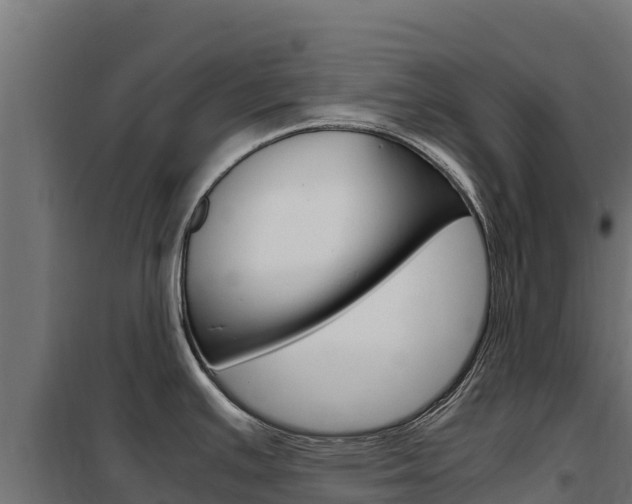 X0000102481391200808081022