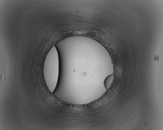 X0000102481393200808081022