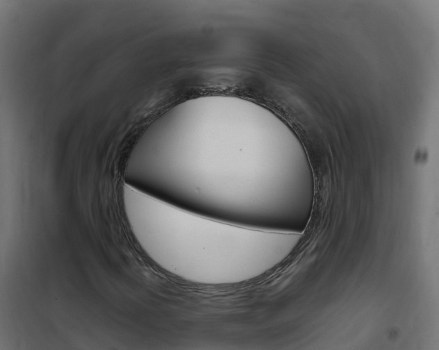 X0000102481394200808081022
