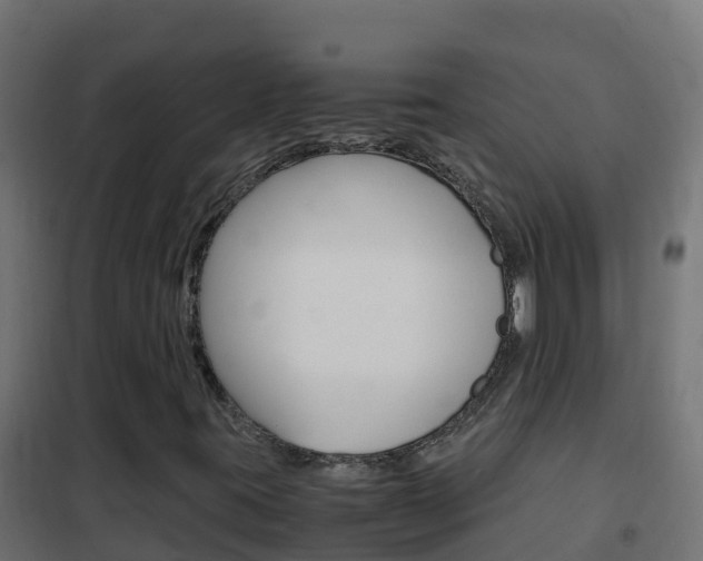 X0000102481395200808081022