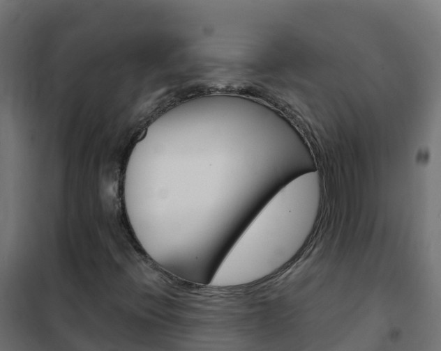 X0000102481396200808081022