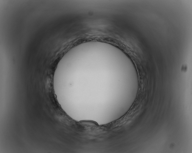 X0000102481397200808081022