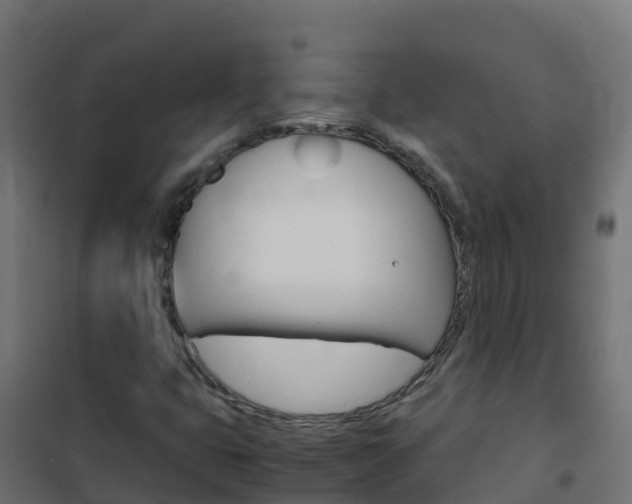 X0000102481399200808081022