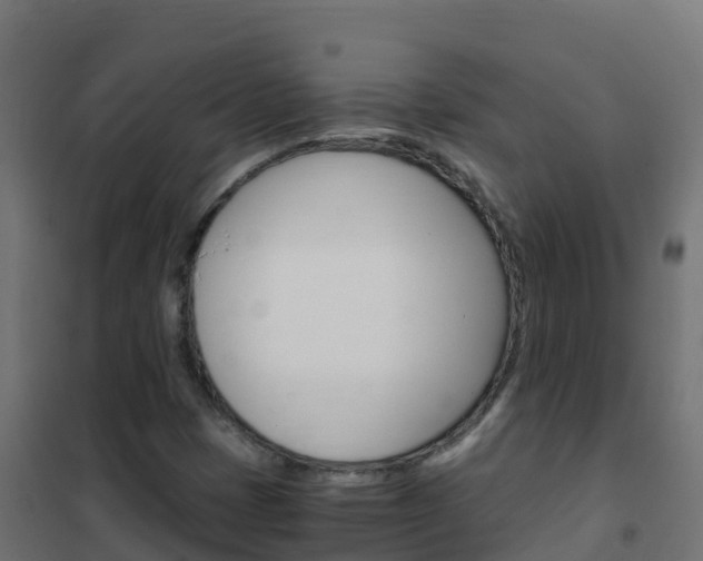 X0000102481401200808081022