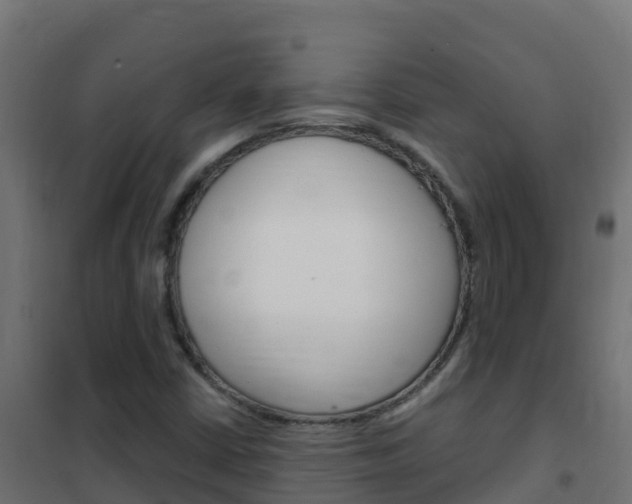 X0000102481402200808081022