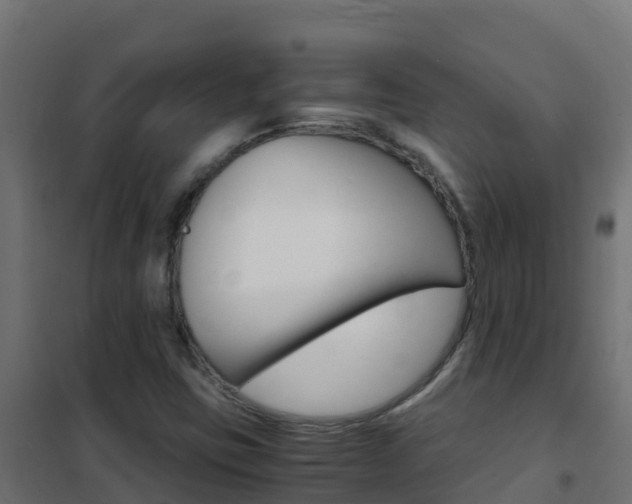 X0000102481403200808081022