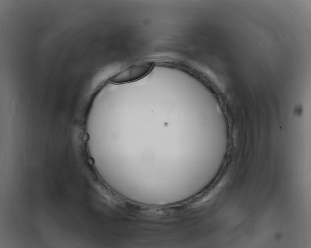 X0000102481405200808081022