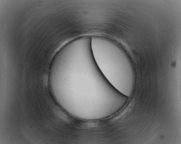 X0000102481409200808081022
