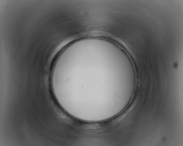 X0000102481410200808081022